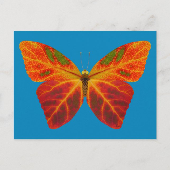 Aspen Leaf Butterfly 2 Postkarte (Vorderseite)
