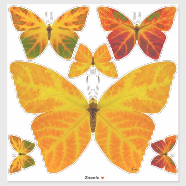 Aspen Leaf Butterfly 3 Aufkleber (Blatt)