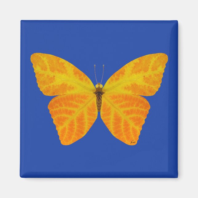 Aspen Leaf Butterfly 3 Magnet (Vorne)