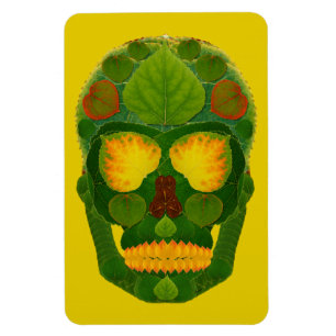 Aspen Leaf Schädel 9 Magnet