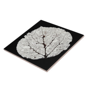 Aspen Leaf Skeleton 1 Fliese