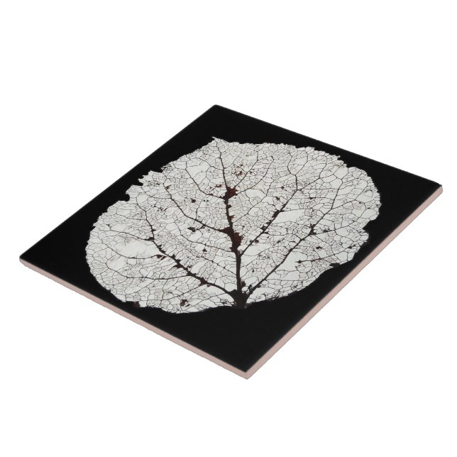 Aspen Leaf Skeleton 1 Fliese (Seite)