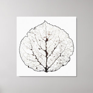 Aspen Leaf Skeleton 1 Leinwanddruck