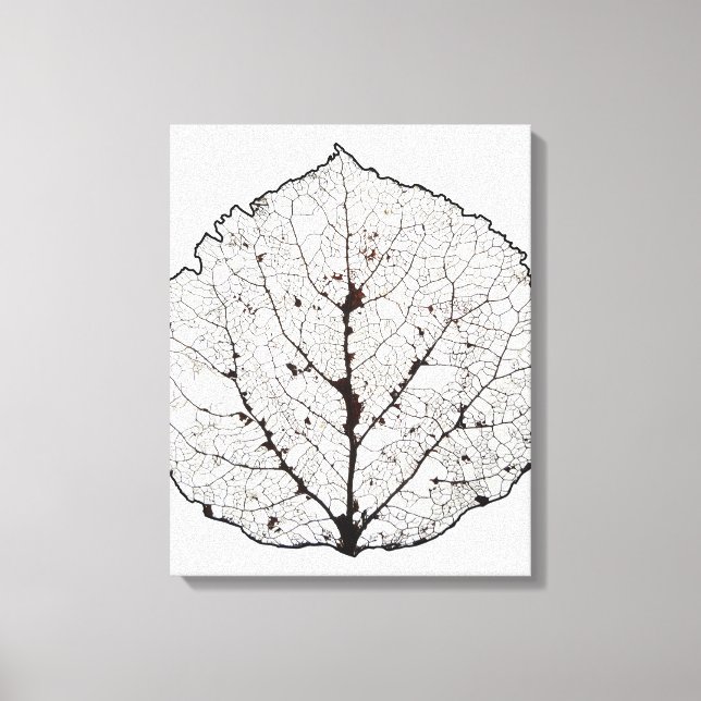 Aspen Leaf Skeleton 1 Leinwanddruck (Vorderseite)