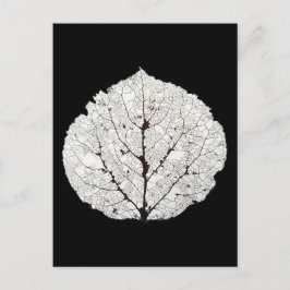 Aspen Leaf Skeleton 1 Postkarte