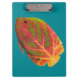 Aspen Leaf Tropische Fische 1 Klemmbrett