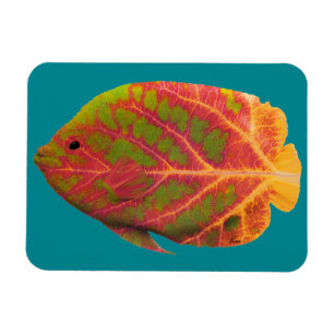 Aspen Leaf Tropische Fische 1 Magnet