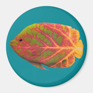 Aspen Leaf Tropische Fische 1 Magnet
