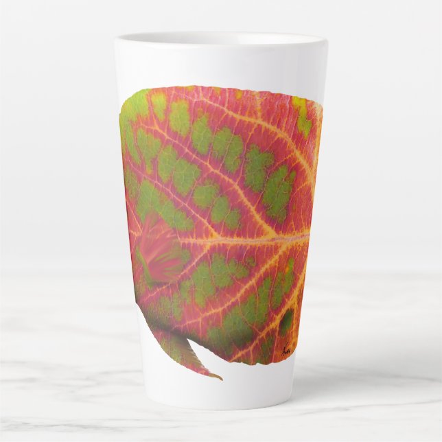 Aspen Leaf Tropische Fische 1 Milchtasse (Vorderseite)