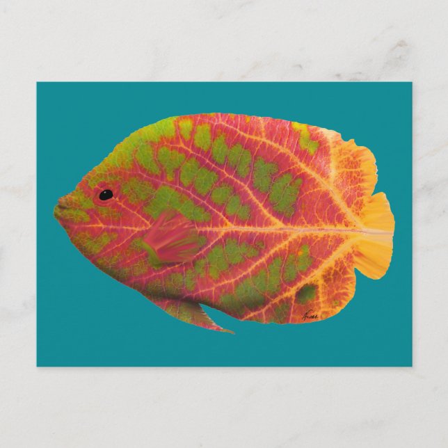 Aspen Leaf Tropische Fische 1 Postkarte (Vorderseite)