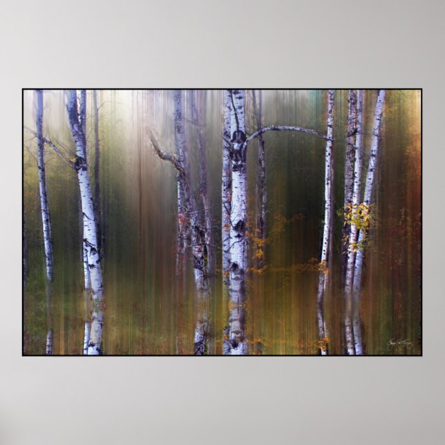 Aspen Reflections Poster (Vorne)