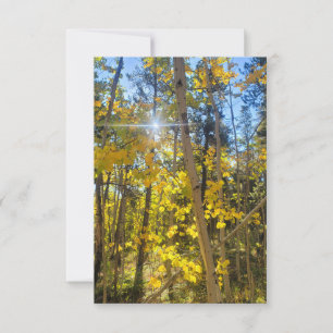 Aspen Sun Card Dankeskarte