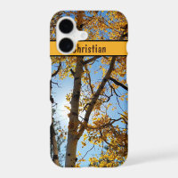 Aspen Tree Golden Fall Foliage Arizona