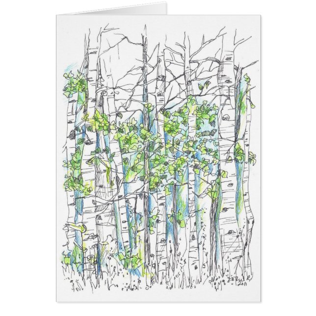 Aspen Tree Grove Tinte Zeichnend leere Karte (Vorne)