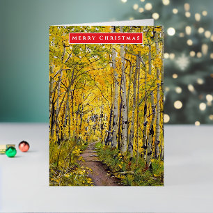 Aspen Tree Holiday oder Ocassion Greeting Card