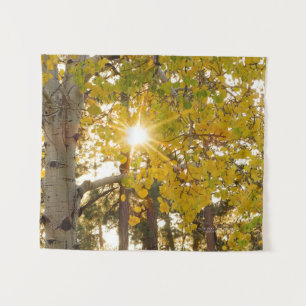 Aspen Tree mit Gelbfall Foliage Sunburst 34x40 Wandteppich