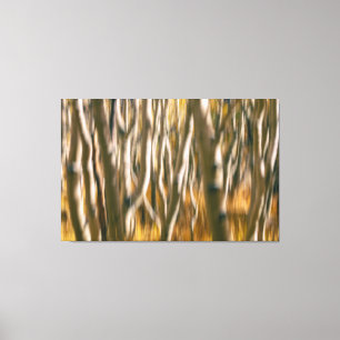 Aspen Trees Abstrakt Leinwanddruck