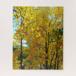 Aspen Trees Herbstlaube