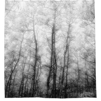 Aspen Trees - Schwarz und Weiß Duschvorhang