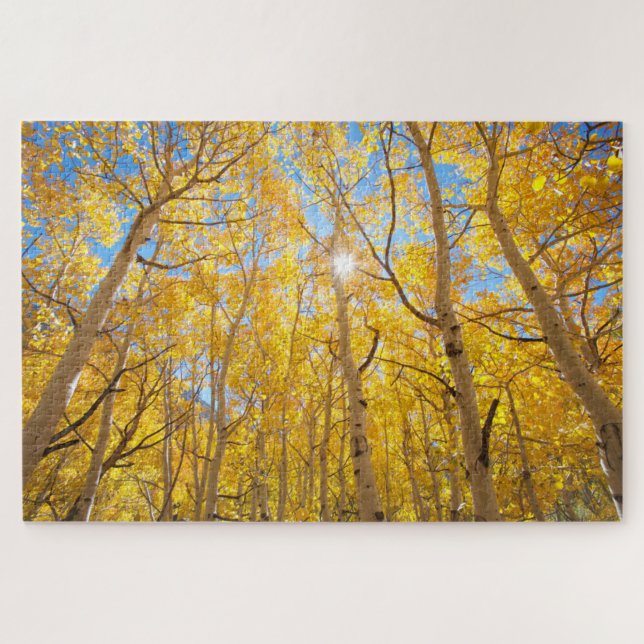 Aspen Trees | Sierra Nevada, CA (Horizontal)