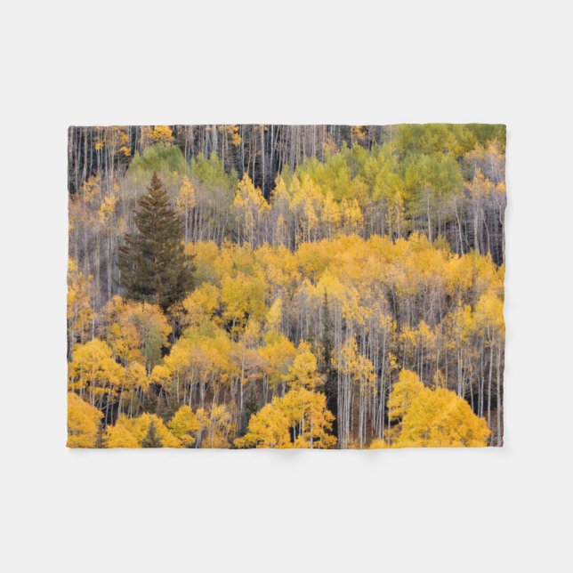 Aspen Trees | White River National Forest Fleecedecke (Vorderseite (Horizontal))