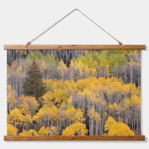 Aspen Trees White River National Forest Wandteppich Mit Holzrahmen