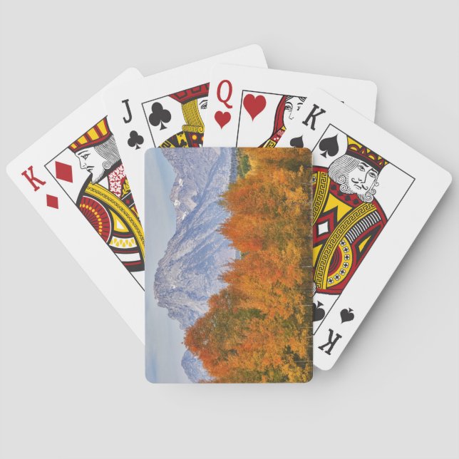 Aspen trees with the Teton mountain range Spielkarten (Rückseite)