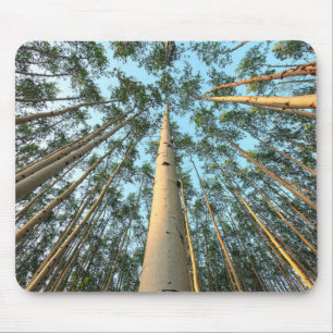 Aspen Trunks und Blätter, Yukon Mousepad