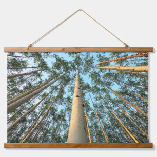 Aspen Trunks und Blätter, Yukon Wandteppich Mit Holzrahmen