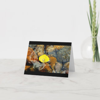 Aspen u. die leere Karte des Wassertropfens