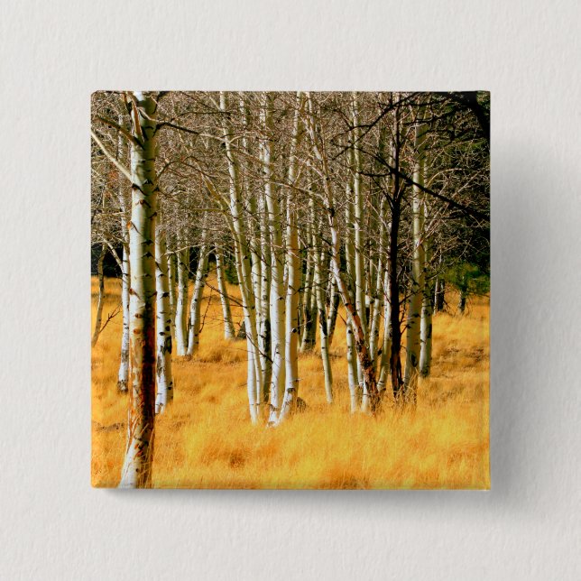 Aspen Woods Button (Vorderseite)
