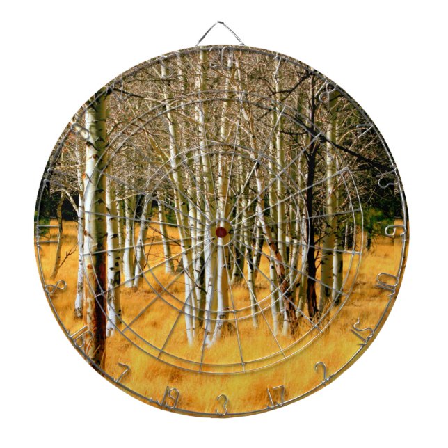 Aspenholzkartonplatte Dartscheibe (vorne)