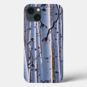 Aspens In Gunnison National Park Case-Mate iPhone Hülle