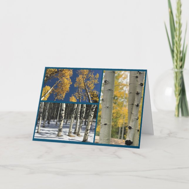 Aspens Karte (Vorderseite)