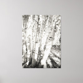 Aspens schwarz-weiß leinwanddruck