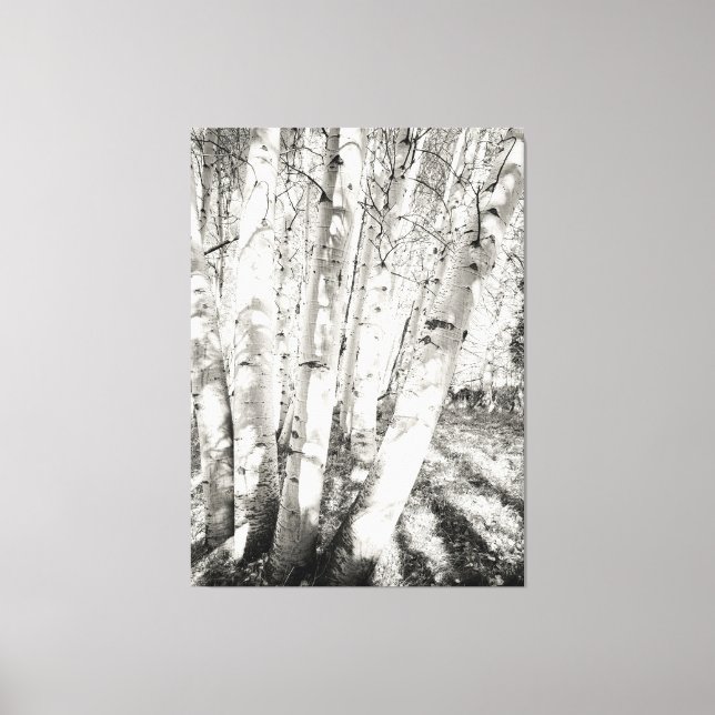 Aspens schwarz-weiß leinwanddruck (Vorderseite)