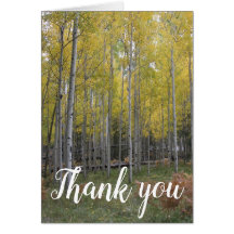 Aspen's Yellow Glow Danke