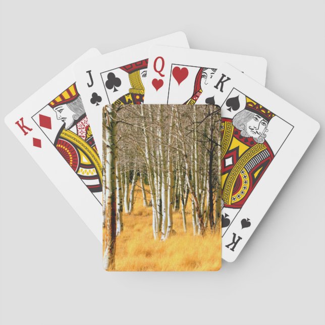 asphaltierte Bäume spielen Karten Spielkarten (Rückseite)
