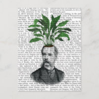 Aspidistra Head Pflanzen Head