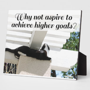 Aspire to Higher Goals Motivierend Cat Fotoplatte