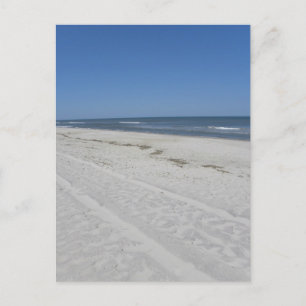 Assateague Beach Postkarte