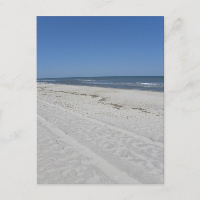 Assateague Beach Postkarte (Vorderseite)