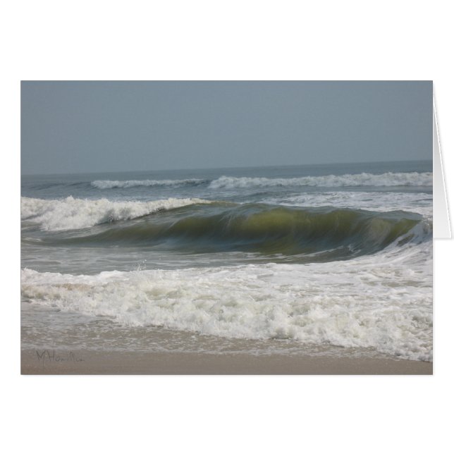 Assateague Insel-Staatsangehörig-Küste (Vorderseite (Horizontal))