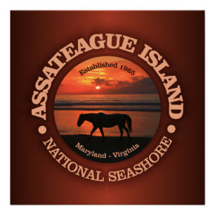 Assateague Insel-Staatsangehörig-Küste Poster