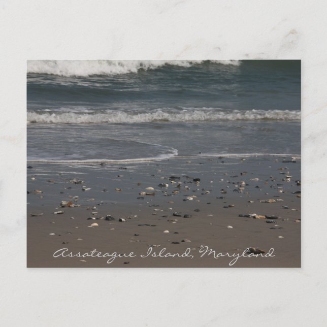Assateague Island Beach Postcard Postkarte (Vorderseite)