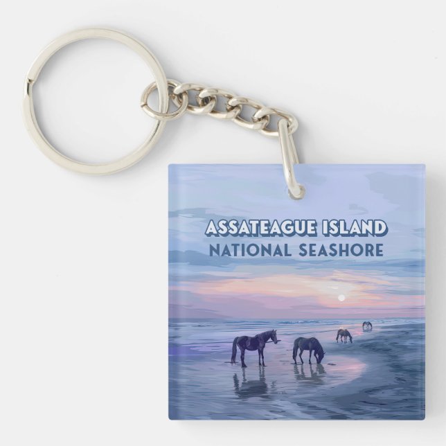 Assateague Island National Seashore Horaires Vinta (Devant)