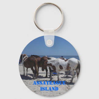 Assateague Island Ponys Schlüsselanhänger