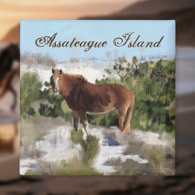 Assateague Island Wild Horse Magnet (Von Creator hochgeladen)