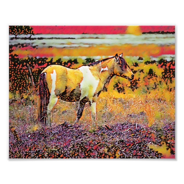 Assateague oder Chincoteague Ponys Fotodruck (Vorne)