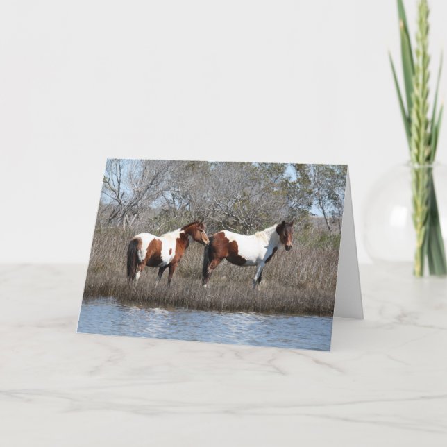 Assateague Ponies, vielen Dank Feiertagskarte (Vorderseite)